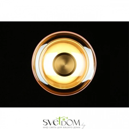 Настенные светильники APL.648.11.10 Aployt | Svetdom.by