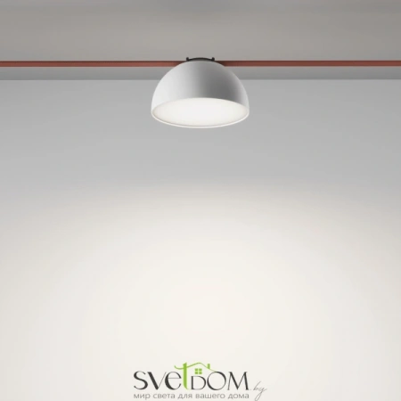 TR126B-20W4K-W Maytoni