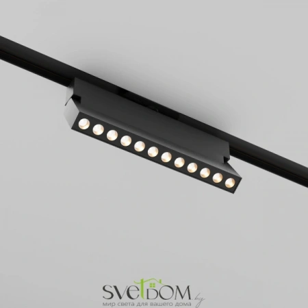 TR224-1-12WCCT-M-B Maytoni