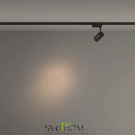 TR003-1-6W3K-S-B Maytoni