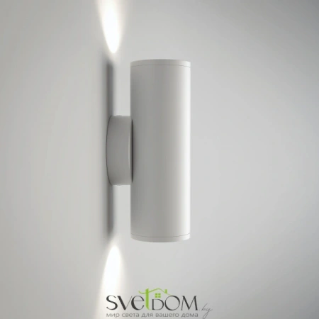 Настенные светильники C068WL-02W Maytoni | Svetdom.by