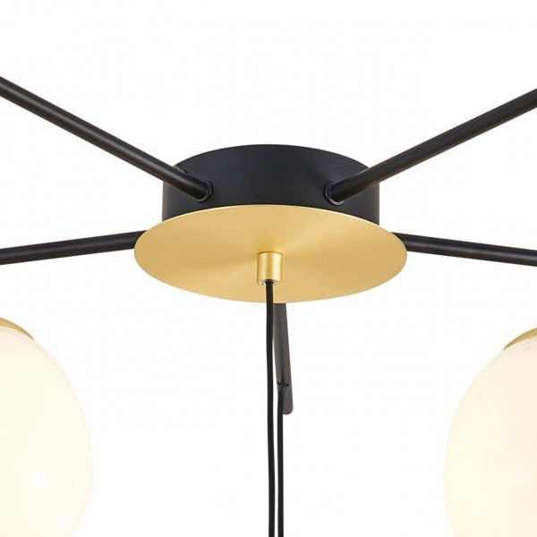 Люстры потолочные3047-6P Favourite | Svetdom.by