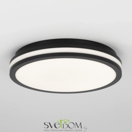 Citilux LUNS CL711021V LED Светильник влагозащищённый Чёрный CITILUX