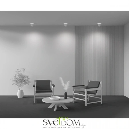 Потолочные светильники Maytoni C009CW-L12W от Магазина Svetdom.by