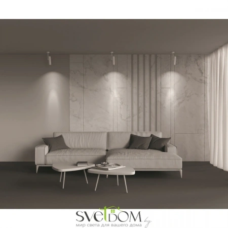 Потолочные светильники Maytoni C020CL-01W от Магазина Svetdom.by