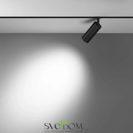 TR032-2-12W3K-S-B Maytoni