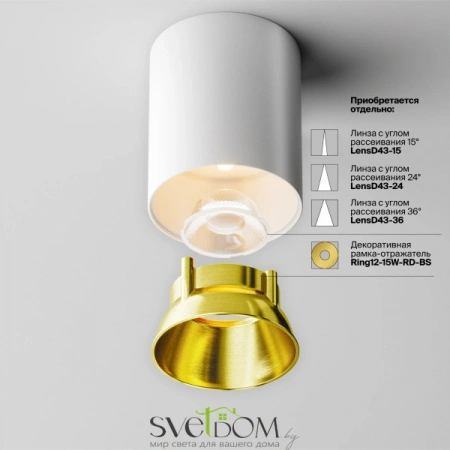Потолочные светильники Maytoni C064CL-12W3K-RD-WB от Магазина Svetdom.by