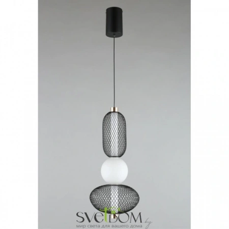 Подвесные светильники Aployt APL.658.06.13 от Магазина Svetdom.by
