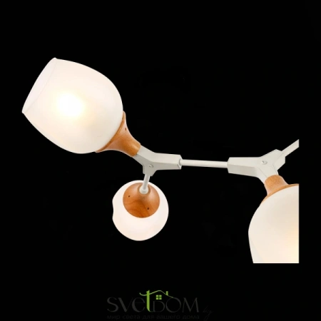 Потолочные светильники EVOLUCE SLE113502-05 от Магазина Svetdom.by