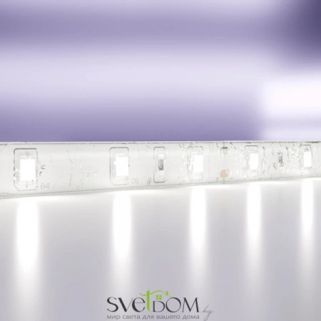 Светодиодная лента 24В 2835 4,8Вт/м 6000K 5м IP65 10141