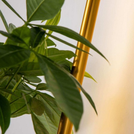 Настенные светильники 4050-1W Favourite | Svetdom.by