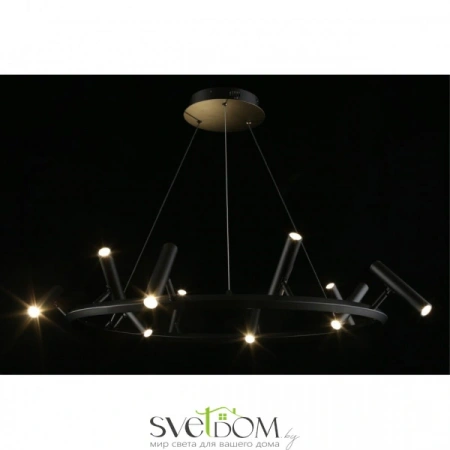 Люстры подвесныеAPL.067.03.50 Aployt | Svetdom.by