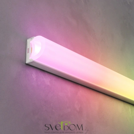 Гибкий неон 1313 24В 14,4Вт/м RGB IP67 5м 200841 | Svetdom.by
