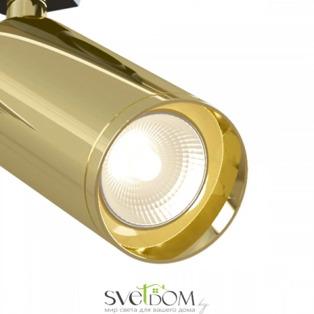 TR004-1-GU10-G Maytoni