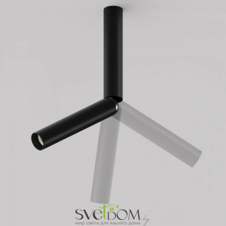 Потолочные светильники Maytoni C142CL-6W4K-B от Магазина Svetdom.by