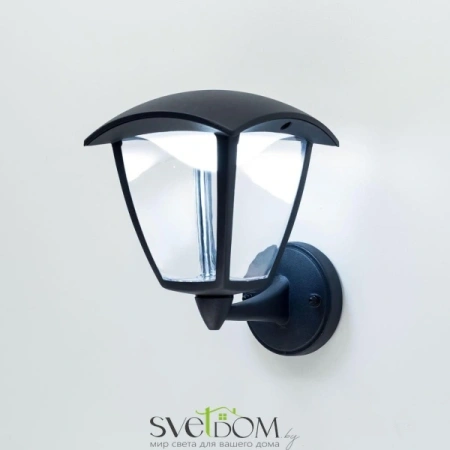 Citilux CLU04W1 LED Уличный настенный светильник Чёрный CITILUX
