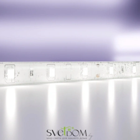 Светодиодная лента 12В 2835 4,8Вт/м 6000K 5м IP65 10107