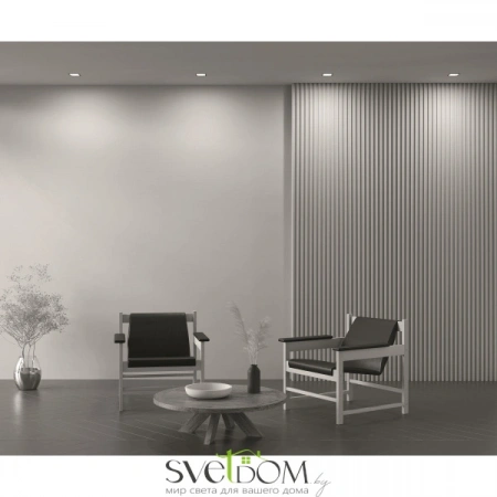 Встраиваемые светильники Maytoni DL029-2-01B от Магазина Svetdom.by