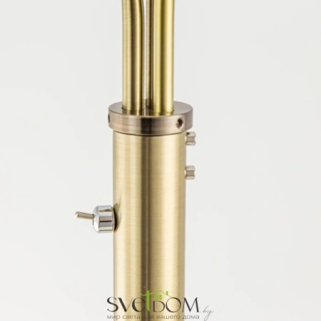 Citilux Томми CL102933 Торшер Бронза CITILUX