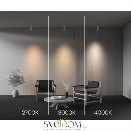Потолочные светильники Maytoni C055CL-L20W2.7-3-4K-M-W от Магазина Svetdom.by