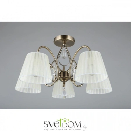 Люстры потолочныеOML-56617-05 Omnilux | Svetdom.by