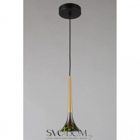 Подвесные светильники Aployt APL.784.06.01 от Магазина Svetdom.by