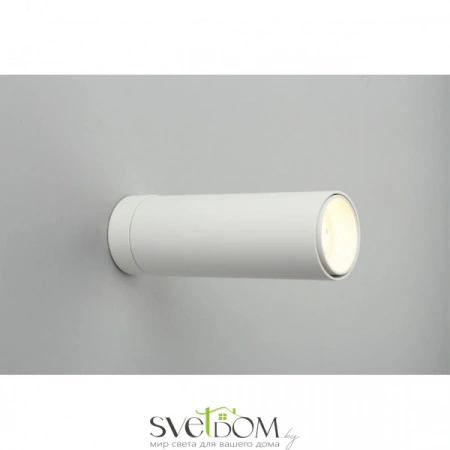 Накладные светильники Omnilux OML-101409-12 от Магазина Svetdom.by