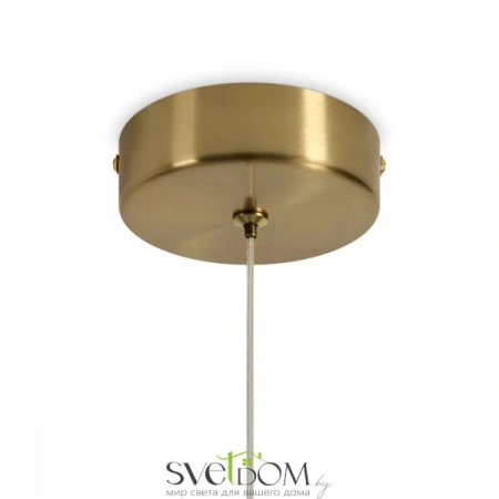 Подвесные светильники Freya FR5601PL-01TR от Магазина Svetdom.by