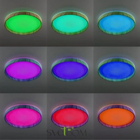 Потолочные светильники CITILUX CL753452G от Магазина Svetdom.by