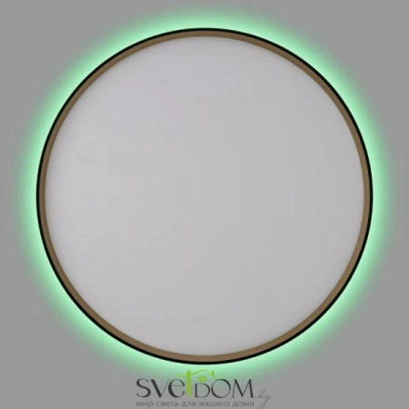 Накладные светильники CITILUX CL750501R от Магазина Svetdom.by