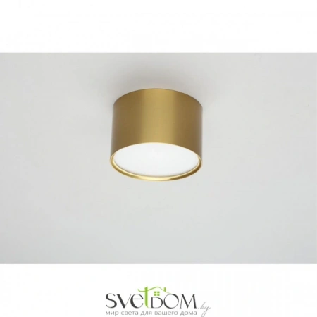 Накладные светильники Omnilux OML-103329-06 от Магазина Svetdom.by