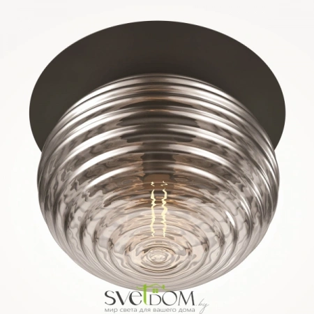 Потолочные светильники Maytoni MOD268CL-01B от Магазина Svetdom.by