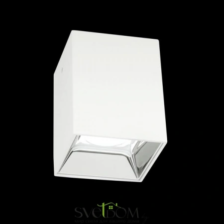 Накладные светильники CITILUX CL7440202 от Магазина Svetdom.by