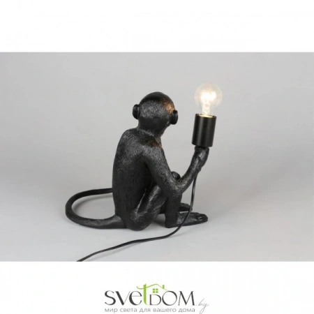 APL.309.24.01 Aployt