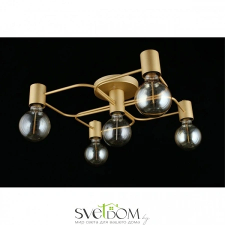 Люстры потолочныеAPL.911.07.05 Aployt | Svetdom.by