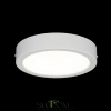 Citilux Галс CL5516N Светильник накладной светодиодный CITILUX