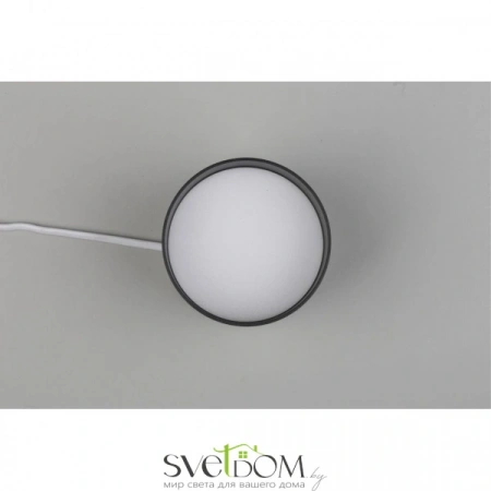 Накладные светильники Omnilux OML-102319-16 от Магазина Svetdom.by