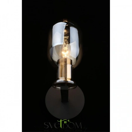 Настенные светильники APL.901.01.01 Aployt | Svetdom.by