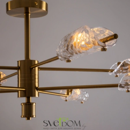 Потолочные светильники Freya FR5420CL-08BS от Магазина Svetdom.by