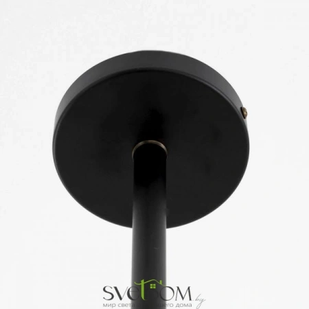 Люстры на штангеCL105295 CITILUX | Svetdom.by