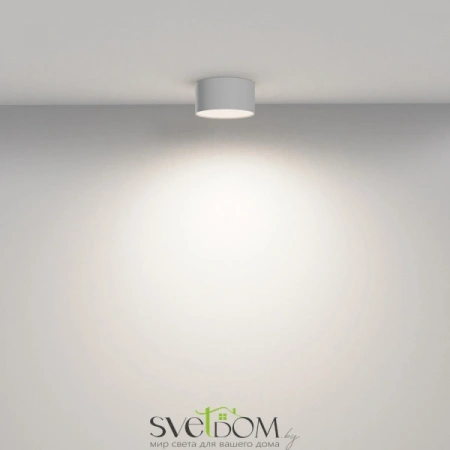 Потолочные светильники Maytoni C032CL-12W4K-RD-W от Магазина Svetdom.by