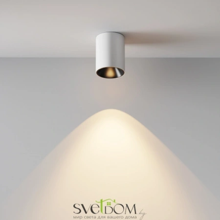 Потолочные светильники Maytoni C064CL-8W3K-RD-WB от Магазина Svetdom.by