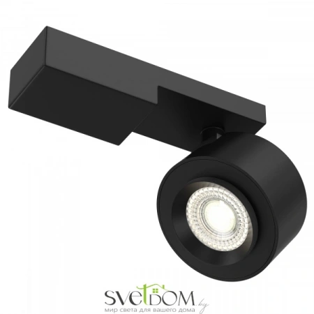 Светильники Maytoni C062CL-L12B3K от Магазина Svetdom.by