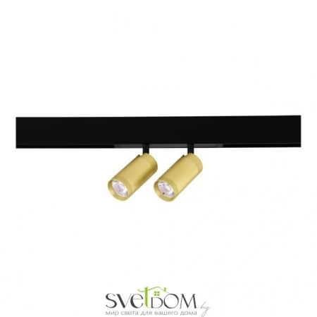 ST660.286.20 Св-к трек. SMART Золотистый LED 2*10W 2700K-6000K 1 440Lm Ra90 36° IP20 D50xH41 220V SKYLINE 220 ST LUCE