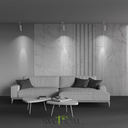 Потолочные светильники Maytoni C020CL-01W от Магазина Svetdom.by