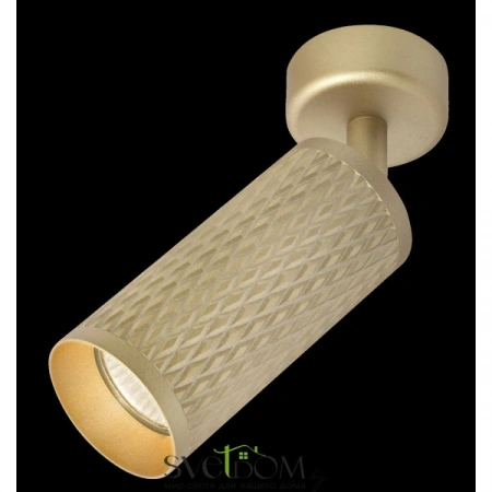 Потолочные светильники Maytoni C034CL-01G от Магазина Svetdom.by