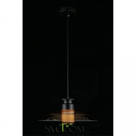 Подвесные светильники Aployt APL.648.16.10 от Магазина Svetdom.by