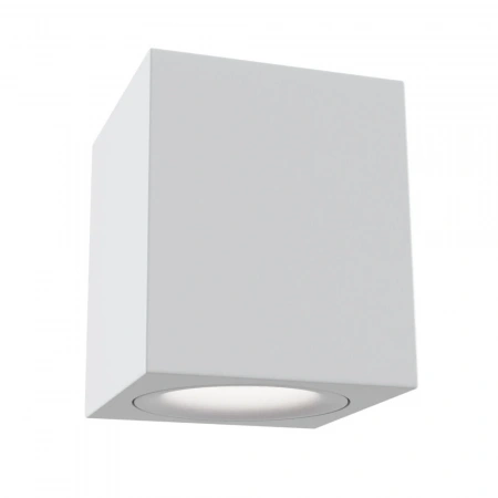 Потолочные светильники Maytoni C013CL-01W от Магазина Svetdom.by