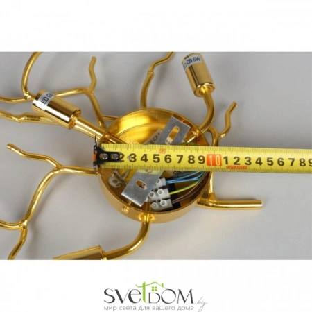 Настенные светильники APL.844.01.03 Aployt | Svetdom.by