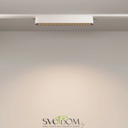 TR084-1-12W4K-W Maytoni